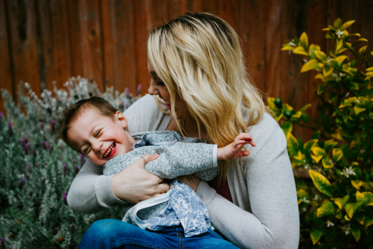 family law subscription plan